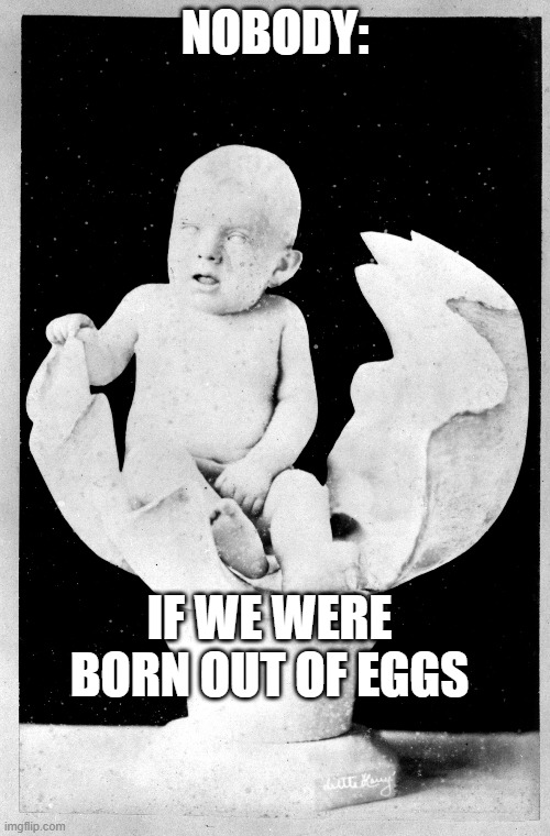 Just if... | NOBODY:; IF WE WERE BORN OUT OF EGGS | image tagged in life | made w/ Imgflip meme maker