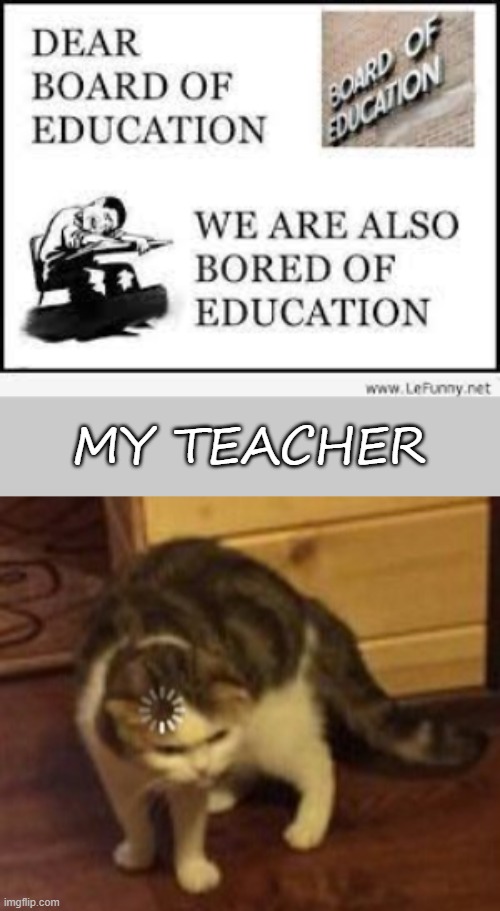 MY TEACHER | image tagged in loading cat,bruh,bad pun | made w/ Imgflip meme maker