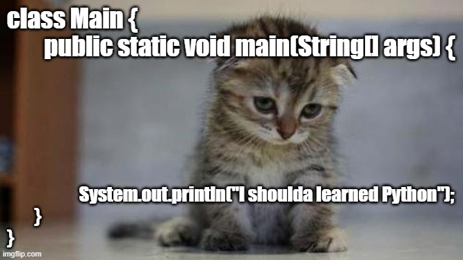 Kitty Hates Java | class Main {
        public static void main(String[] args) {; System.out.println("I shoulda learned Python");
        }
} | image tagged in sad kitten | made w/ Imgflip meme maker