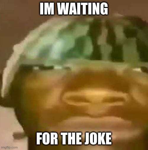 shitpost | IM WAITING FOR THE JOKE | image tagged in shitpost | made w/ Imgflip meme maker