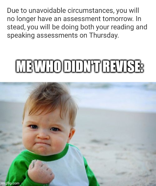 Idk | ME WHO DIDN'T REVISE: | image tagged in memes,success kid original | made w/ Imgflip meme maker