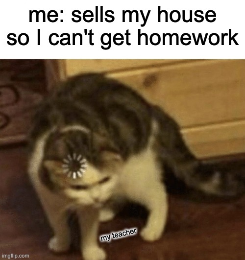 Cat Loading template | me: sells my house so I can't get homework; my teacher | image tagged in cat loading template | made w/ Imgflip meme maker