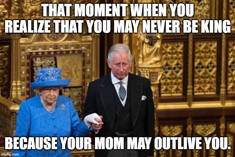 Poor Prince Charles LOL |  THAT MOMENT WHEN YOU REALIZE THAT YOU MAY NEVER BE KING; BECAUSE YOUR MOM MAY OUTLIVE YOU. | image tagged in prince charles,the queen elizabeth ii | made w/ Imgflip meme maker