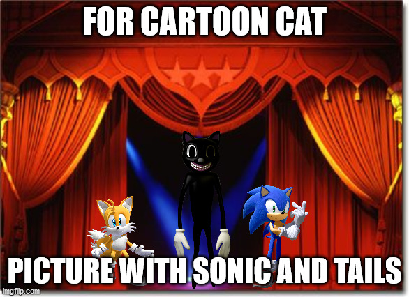 Stage Curtains | FOR CARTOON CAT; PICTURE WITH SONIC AND TAILS | image tagged in stage curtains | made w/ Imgflip meme maker