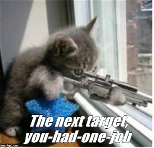 Hitman lolcat | The next target, you-had-one-job | image tagged in hitman lolcat | made w/ Imgflip meme maker