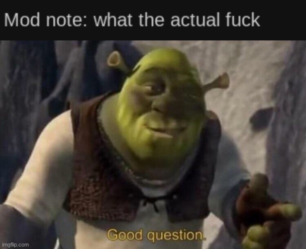 abnfwwbtitgtn | image tagged in shrek good question | made w/ Imgflip meme maker