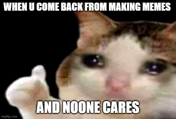 sad | WHEN U COME BACK FROM MAKING MEMES; AND NOONE CARES | image tagged in sad cat thumbs up | made w/ Imgflip meme maker