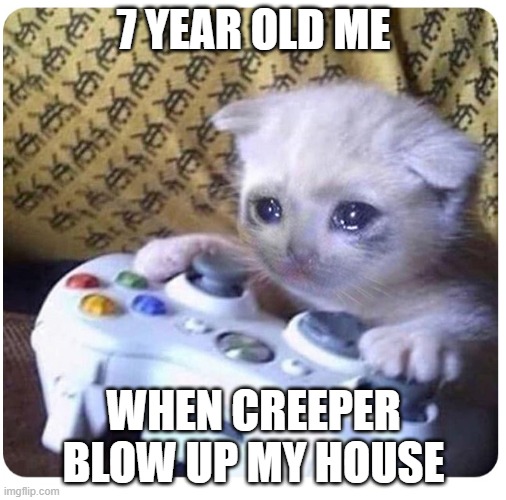 Sad cat Xbox | 7 YEAR OLD ME; WHEN CREEPER BLOW UP MY HOUSE | image tagged in sad cat xbox | made w/ Imgflip meme maker