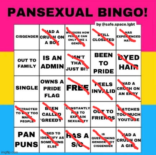 Here's me! | image tagged in pansexual bingo | made w/ Imgflip meme maker