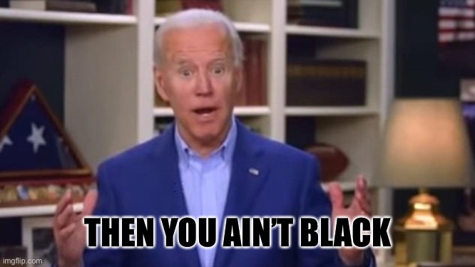 Joe Biden You Ain't Black | THEN YOU AIN’T BLACK | image tagged in joe biden you ain't black | made w/ Imgflip meme maker