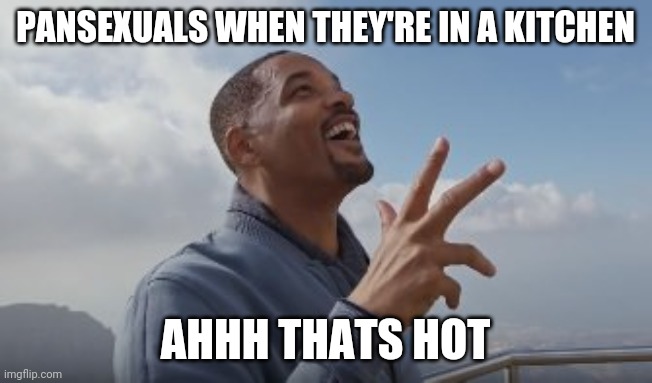 Ahh thats hot | PANSEXUALS WHEN THEY'RE IN A KITCHEN; AHHH THATS HOT | image tagged in ahh thats hot | made w/ Imgflip meme maker