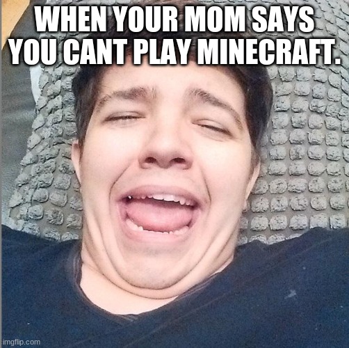 Preston Meme | WHEN YOUR MOM SAYS YOU CANT PLAY MINECRAFT. | image tagged in funny memes | made w/ Imgflip meme maker