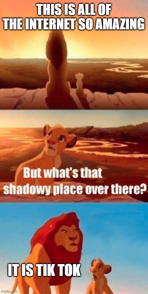 Tik tok shadowy | THIS IS ALL OF THE INTERNET SO AMAZING; IT IS TIK TOK | image tagged in memes,simba shadowy place | made w/ Imgflip meme maker