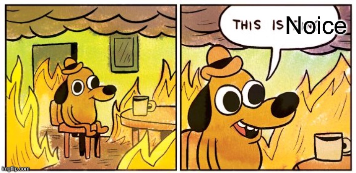 This Is Fine Meme | Noice | image tagged in memes,this is fine | made w/ Imgflip meme maker