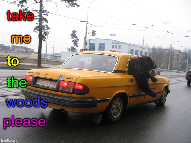 I tip well | take; me; to; the; woods; please | made w/ Imgflip meme maker