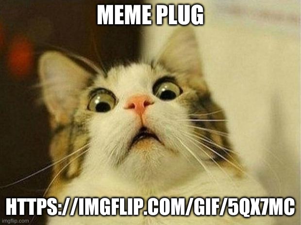 https://imgflip.com/gif/5qx7mc | MEME PLUG; HTTPS://IMGFLIP.COM/GIF/5QX7MC | image tagged in memes,scared cat | made w/ Imgflip meme maker
