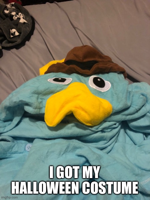 I’ll probably post myself wearing it to this stream on Halloween | I GOT MY HALLOWEEN COSTUME | made w/ Imgflip meme maker
