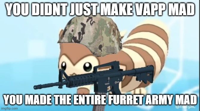 its time to die! |  YOU DIDNT JUST MAKE VAPP MAD; YOU MADE THE ENTIRE FURRET ARMY MAD | image tagged in furret army | made w/ Imgflip meme maker