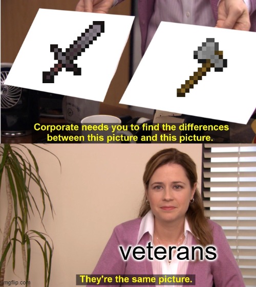 one stony boy | veterans | image tagged in memes,minecraft,axe,sword,they are the same picture | made w/ Imgflip meme maker