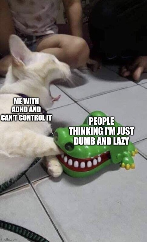 ADHD meme's #5 |  ME WITH ADHD AND CAN'T CONTROL IT; PEOPLE THINKING I'M JUST DUMB AND LAZY | image tagged in cat and alligator,adhd | made w/ Imgflip meme maker