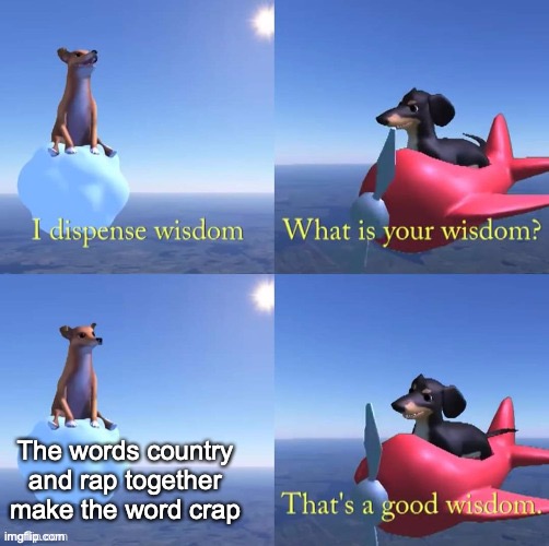 CRap |  The words country and rap together make the word crap | image tagged in wisdom dog,crap | made w/ Imgflip meme maker