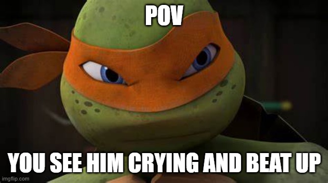 srry going back to my tmnt fandom (for all my old followers) [harrypotter4thyear is me] | POV; YOU SEE HIM CRYING AND BEAT UP | made w/ Imgflip meme maker