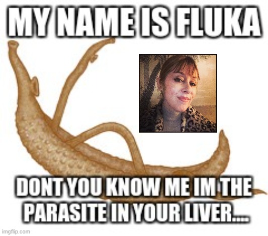 Suzanne Fluka | image tagged in fluke,fluka,luka | made w/ Imgflip meme maker
