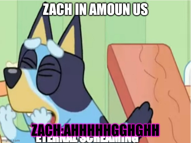 why me | ZACH IN AMOUN US; ZACH:AHHHHHGGHGHH | image tagged in bluey eternal screaming | made w/ Imgflip meme maker