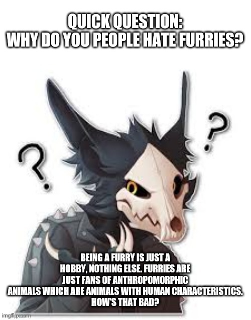 I'm curious | QUICK QUESTION:
WHY DO YOU PEOPLE HATE FURRIES? BEING A FURRY IS JUST A HOBBY, NOTHING ELSE. FURRIES ARE JUST FANS OF ANTHROPOMORPHIC ANIMALS WHICH ARE ANIMALS WITH HUMAN CHARACTERISTICS.
HOW'S THAT BAD? | image tagged in wingedwolf94 wtf,furry | made w/ Imgflip meme maker