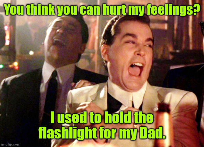 I learned an extensive vocabulary. | You think you can hurt my feelings? I used to hold the flashlight for my Dad. | image tagged in memes,good fellas hilarious,funny | made w/ Imgflip meme maker