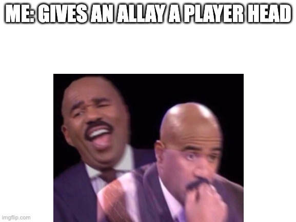 ME: GIVES AN ALLAY A PLAYER HEAD | image tagged in memes | made w/ Imgflip meme maker
