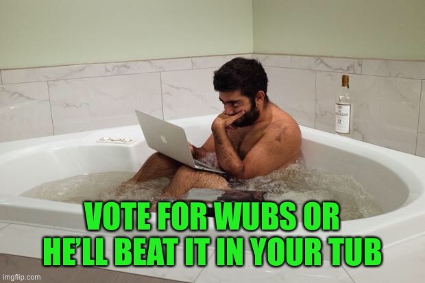 Nvm don’t vote for that guy | VOTE FOR WUBS OR HE’LL BEAT IT IN YOUR TUB | image tagged in bathtubcoder,playing games | made w/ Imgflip meme maker