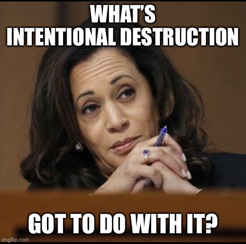 Kamala Harris  | WHAT’S INTENTIONAL DESTRUCTION GOT TO DO WITH IT? | image tagged in kamala harris | made w/ Imgflip meme maker