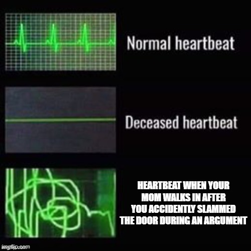 Heartbeat comparisons | HEARTBEAT WHEN YOUR MOM WALKS IN AFTER YOU ACCIDENTLY SLAMMED THE DOOR DURING AN ARGUMENT | image tagged in heartbeat comparisons | made w/ Imgflip meme maker
