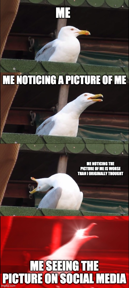 Inhaling Seagull Meme | ME; ME NOTICING A PICTURE OF ME; ME NOTICING THE PICTURE OF ME IS WORSE THAN I ORIGINALLY THOUGHT; ME SEEING THE PICTURE ON SOCIAL MEDIA | image tagged in memes,inhaling seagull | made w/ Imgflip meme maker