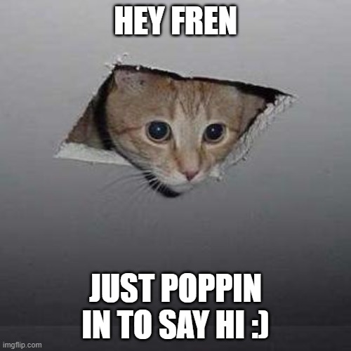 vibe check! |  HEY FREN; JUST POPPIN IN TO SAY HI :) | image tagged in memes,ceiling cat | made w/ Imgflip meme maker