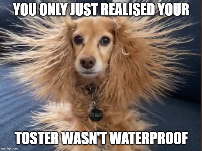 #Notwaterproof | YOU ONLY JUST REALISED YOUR; TOSTER WASN'T WATERPROOF | image tagged in water | made w/ Imgflip meme maker