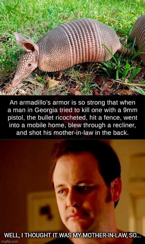 Trick shot | WELL, I THOUGHT IT WAS MY MOTHER-IN-LAW, SO... | image tagged in armadillo,mother in law,mistaken identity,gun,weird facts,well he's a guy so | made w/ Imgflip meme maker