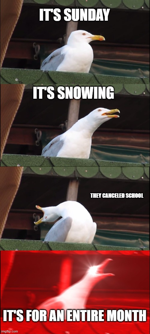 Inhaling Seagull Meme | IT'S SUNDAY; IT'S SNOWING; THEY CANCELED SCHOOL; IT'S FOR AN ENTIRE MONTH | image tagged in memes,inhaling seagull | made w/ Imgflip meme maker