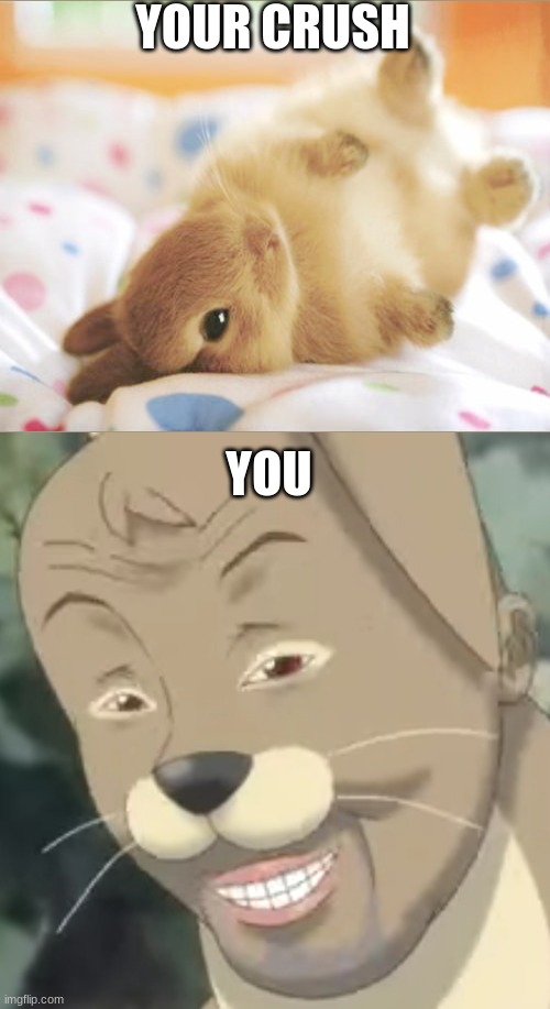 bye  someone who is reading this self esteem | YOUR CRUSH; YOU | image tagged in creepy anime rabbit | made w/ Imgflip meme maker