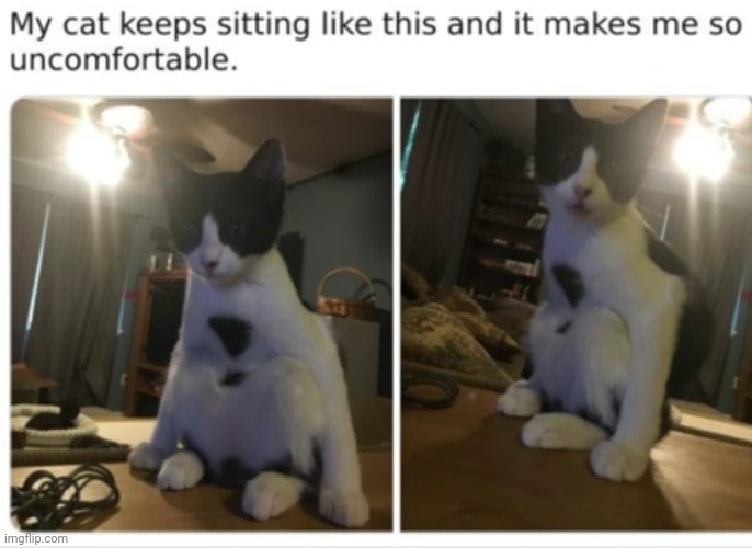 image tagged in funny memes | made w/ Imgflip meme maker