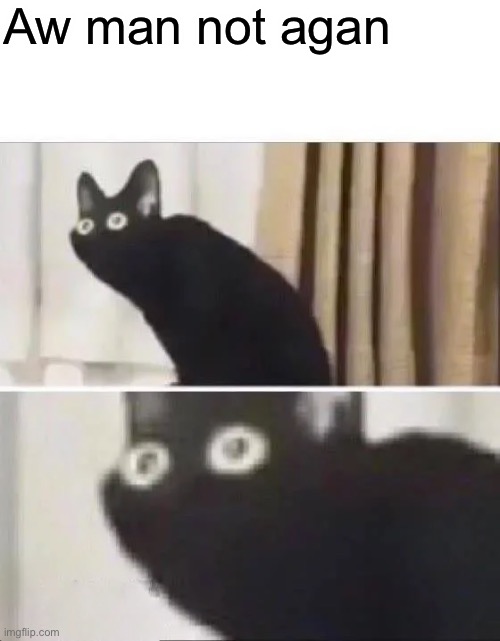 Oh No Black Cat | Aw man not agan | image tagged in oh no black cat | made w/ Imgflip meme maker