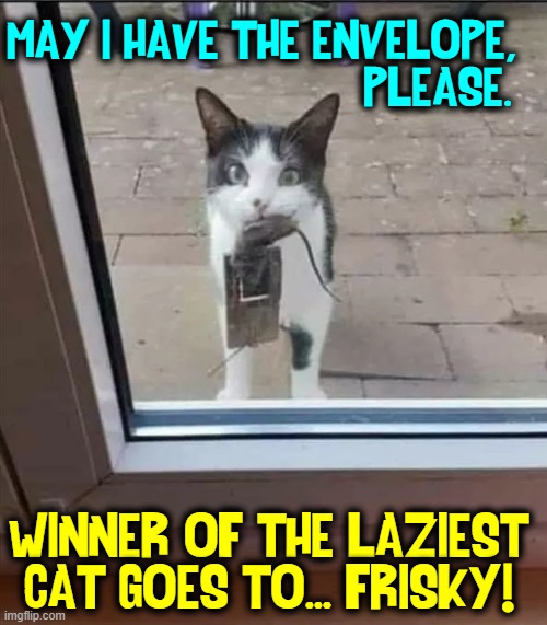"Look, Look... What I Caught!" —Frisky | MAY I HAVE THE ENVELOPE,                              PLEASE. WINNER OF THE LAZIEST
CAT GOES TO... FRISKY! | image tagged in vince vance,cats,lazy cat,mouse trap,memes,meow | made w/ Imgflip meme maker