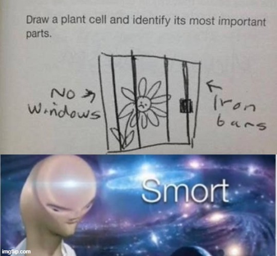 plant cell | image tagged in meme man smort,funny,memes,funny test answers | made w/ Imgflip meme maker