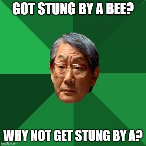 thisisaveryexitingtitle |  GOT STUNG BY A BEE? WHY NOT GET STUNG BY A? | image tagged in asian dad | made w/ Imgflip meme maker