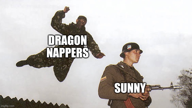 Soldier jump spetznaz | DRAGON NAPPERS; SUNNY | image tagged in soldier jump spetznaz | made w/ Imgflip meme maker