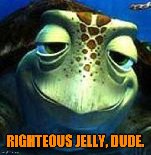 Finding Nemo turtle | RIGHTEOUS JELLY, DUDE. | image tagged in finding nemo turtle | made w/ Imgflip meme maker