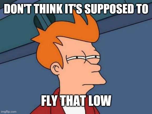 Futurama Fry Meme | DON'T THINK IT'S SUPPOSED TO FLY THAT LOW | image tagged in memes,futurama fry | made w/ Imgflip meme maker