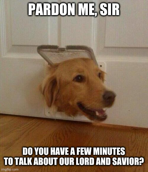 BAD DOG! NO! | PARDON ME, SIR; DO YOU HAVE A FEW MINUTES TO TALK ABOUT OUR LORD AND SAVIOR? | image tagged in dog door | made w/ Imgflip meme maker