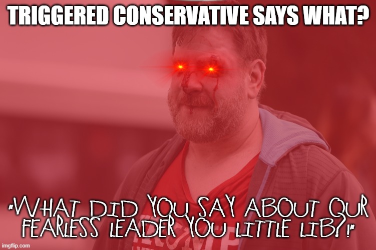 TRIGGERED CONSERVATIVE SAYS WHAT? "WHAT DID YOU SAY ABOUT OUR FEARLESS LEADER YOU LITTLE LIB?!" | made w/ Imgflip meme maker